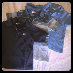 Lacoste boys polo shirts